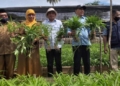 Bupati Bone Bolango, Hamim Pou saat panen perdana sayuran di Kebun Organik Desa Bandungan Kecamatan Bulango Utara, Selasa (4/1/2022). (F.Indra/Diskominfo)
