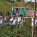 Anggota DPRD Gorut, Lukum Diko saat menghadiri panen raya di Desa Hiyalo Oile. (f.prin)