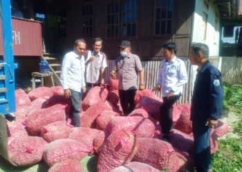 Aleg DPRD Provinsi Sulbar dari PDIP, Irbad Kaimuddin saat menyerahkan bibit bawang merah ke Kelompok Tani.