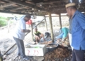 Roni Imran saat mengunjungi para nelayan budidaya rumput laut. (f.ist)