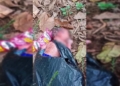 Penemuan bayi gegerkan warga Desa Dumbayabulan, Suwawa Timur, Bone Bolango. (dok. istimewa)