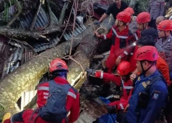 Seorang ibu dan anak dikabarkan tewas tertimpa pohon tumbang akibat cuaca ekstrem beberapa hari ini di Kota Makassar. (dok. istimewa)