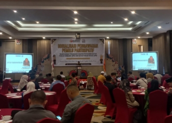 Sosialisasi pengawasan partisipatif dalam rangka pengawasan penyusunan DPTb dan DPK-(F.NN)