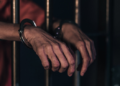 filustrasi ist-