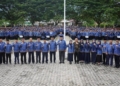 F.hms