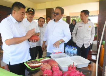 Bupati Boalemo, Drs. Rum Pagau menunjukkan hasil komoditi kakao atau coklat kepada Dirjen Perkebunan Kementan RI, Dr. Abdul Roni Angkat, S.Tp, M.Si .(f.dok.pimpinan)