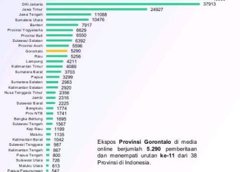 grafis-ist