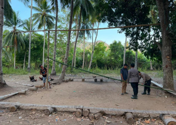 Pembongkaran lokasi yang diduga digunakan untuk aktivitas sabung ayam di Popayato Timur