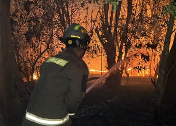 Tim Gabungan nampak sedang berusaha memadamkan api pada lahan yang terbakar di Desa Lombongo, Kecamatan Suwawa Tengah, Kabupaten Bone Bolango.