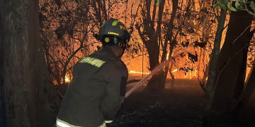 Tim Gabungan nampak sedang berusaha memadamkan api pada lahan yang terbakar di Desa Lombongo, Kecamatan Suwawa Tengah, Kabupaten Bone Bolango.